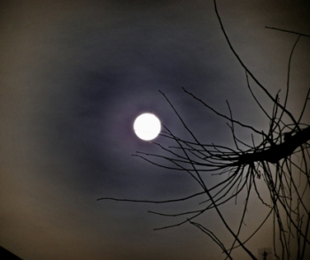 This mystical lunar photo hinting at the metaphysical (and which could probably serve as the spark for a metaphysically-based debate) was taken by Italian photographer Rodolfo Belloli.